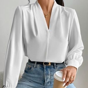 Unity Fold Pleated Lantern Sleeve Blouse